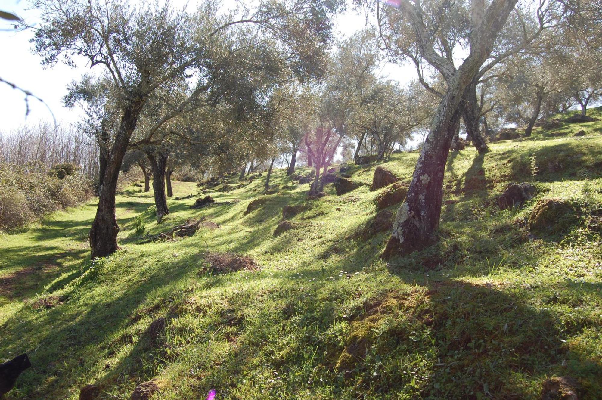 Los Pozos De La Nieve Constantina Extérieur photo